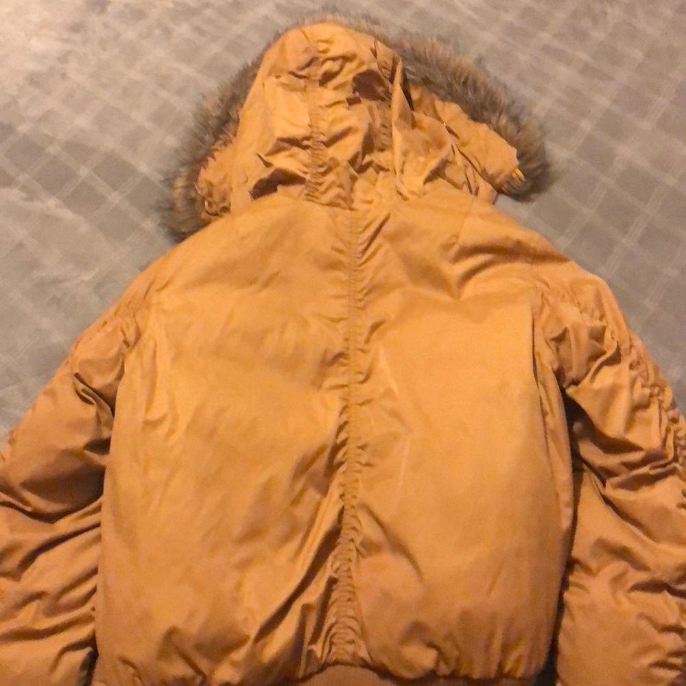 Jacket - Picture 4 of 4